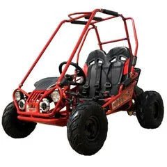 Trailmaster Mini XRX+ 2- Seater GO-KART EAGLE SERIES 163cc Blues. image 0