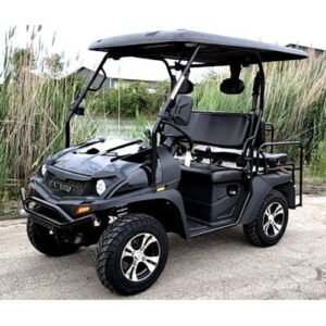 Brand New Gas Golf Cart UTV Hybrid Linhai Big Hammer 200 GVX Side by Side UTV With Custom Rims/Tires – Black image 0